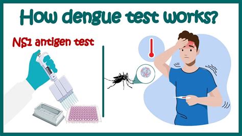 test kit denggi|Dengue Tests Explained: When and Which Test .